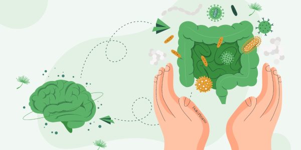 La microbiota intestinal, nuestro segundo cerebro